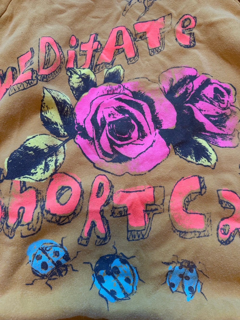 NWT Magnolia Pearl Neon Bluebonnet Richi Sweatshirt - Picture 10 of 11